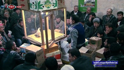 OBJEKTİFLERDEN UZAK - Bir Garip Sevda