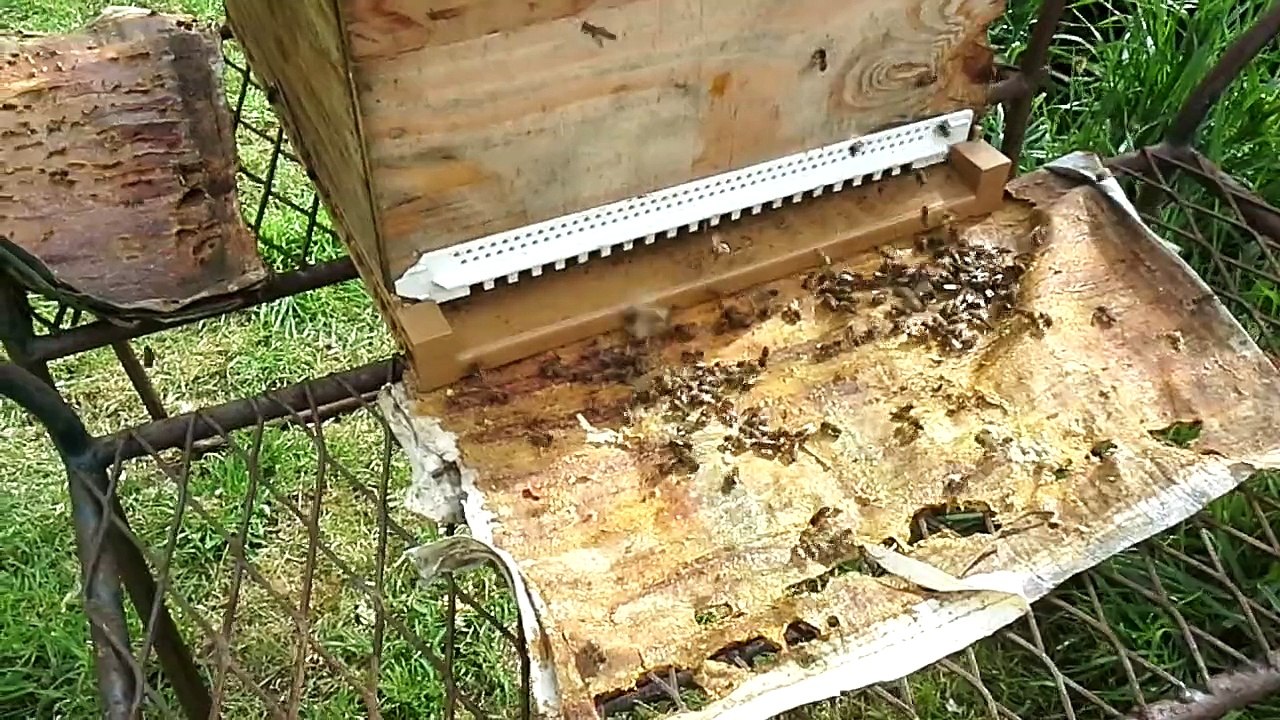 20150501_172656_Kercanet