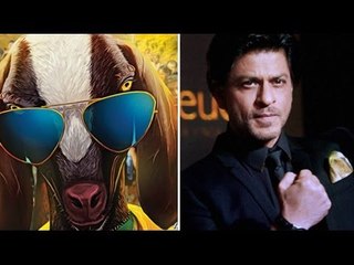 A Goat Named Shah Rukh - BT