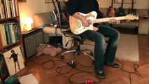 Fender Telecaster Thinline (Mexico)