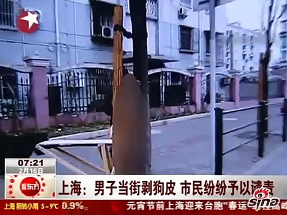 China news: Golden Retriever skinned alive on street!