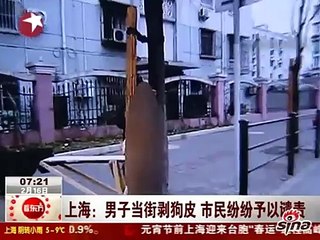 China news: Golden Retriever skinned alive on street!