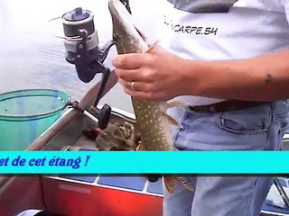 Pêche & découverte étang de Gondrexange