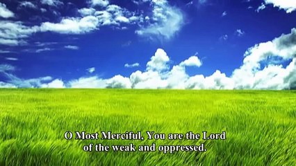 Mishary Qunoot with English Translation (Heartbreaking Dua)