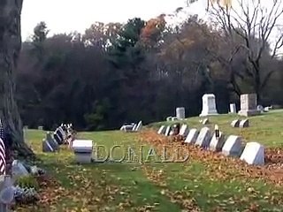 WASTED YOUTH: Broken Promise