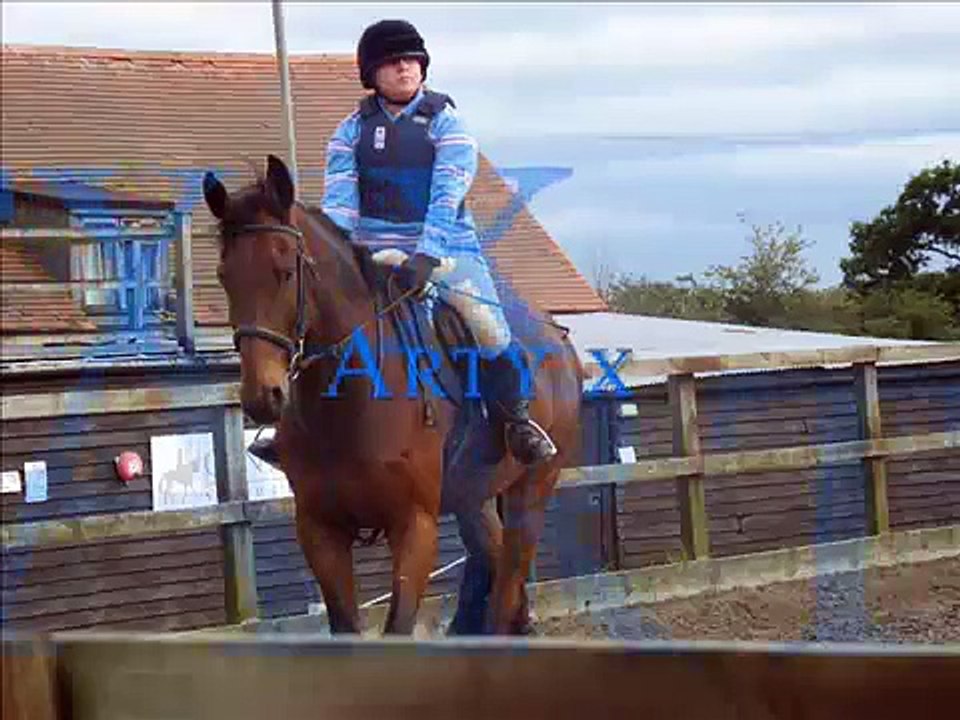 Horse Riding Arty & Forest --x