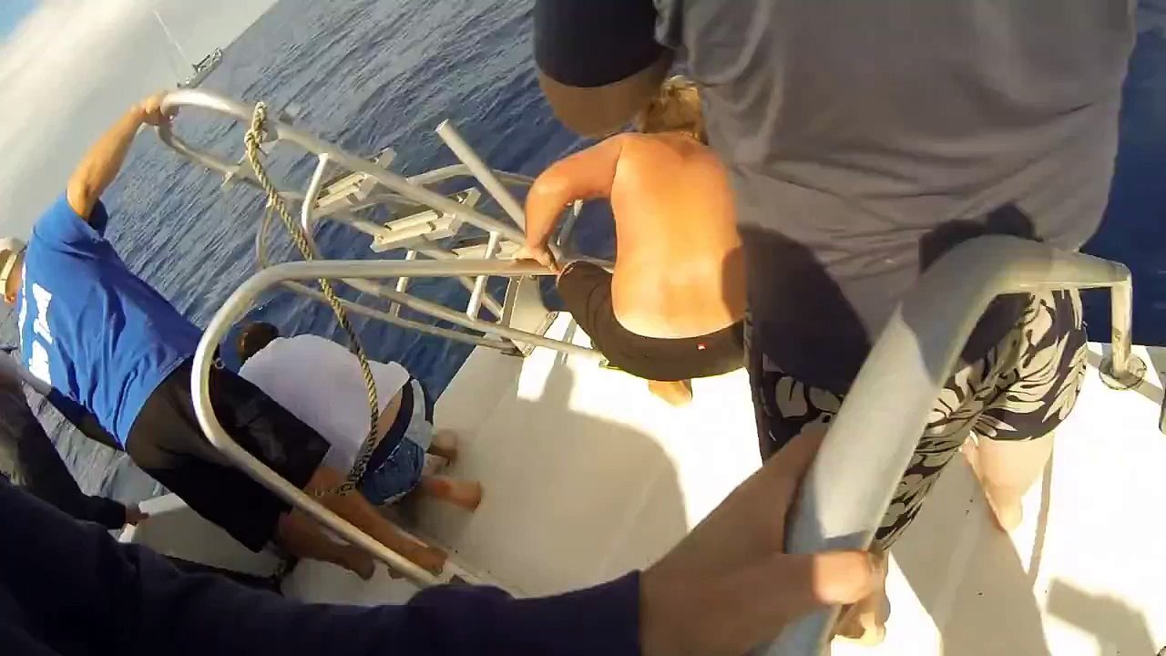 Humpack Whale Encounter Filmed with GoPro - Maui Hawaii