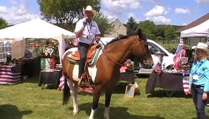 FESTIVAL COUNTRY 2015  DE  VARREDDES  ORGANISE PAR CDA VARREDDES