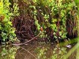 Lo spettacolo della natura