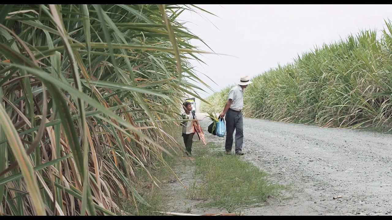 LA TIERRA Y LA SOMBRA - TRAILER SUBTITULADO (Inglés)