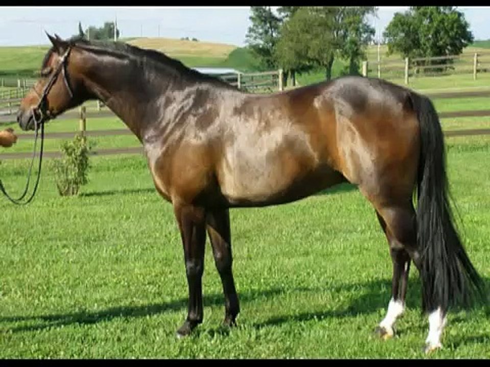 World Class Small Junior/ 1st yr  2010