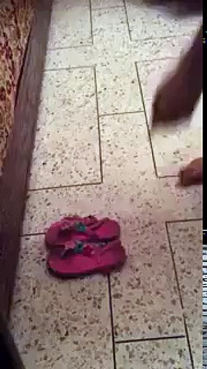 ہاہاہاہا پیچاری کو نیند میں بھی بیوقوف بنا دیا ،،،