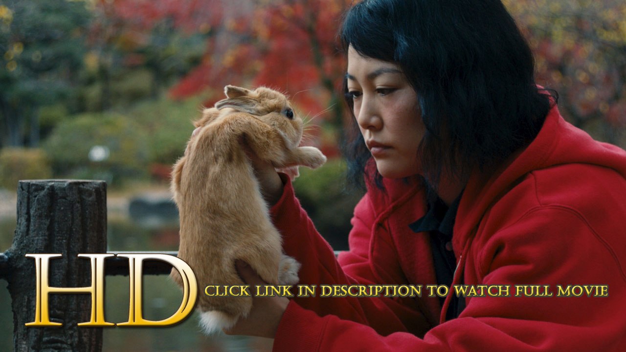Watch Kumiko the Treasure Hunter Full Movie in HD 1080p Online 2015