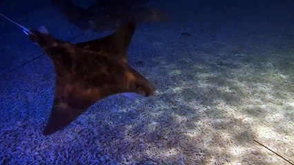 Rejnoci po týdnu v Zoo Zlín