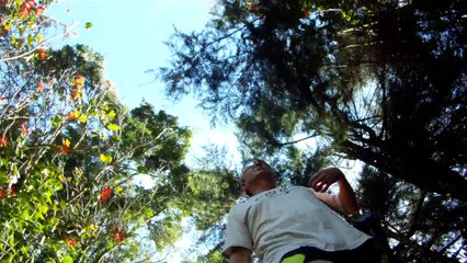 Serra da Mantiqueira, Caminhada rural, Birdwatching, Marcelo Ambrogi, Santo Antonio do Pinhal, 24 de maio de 2015, (15)