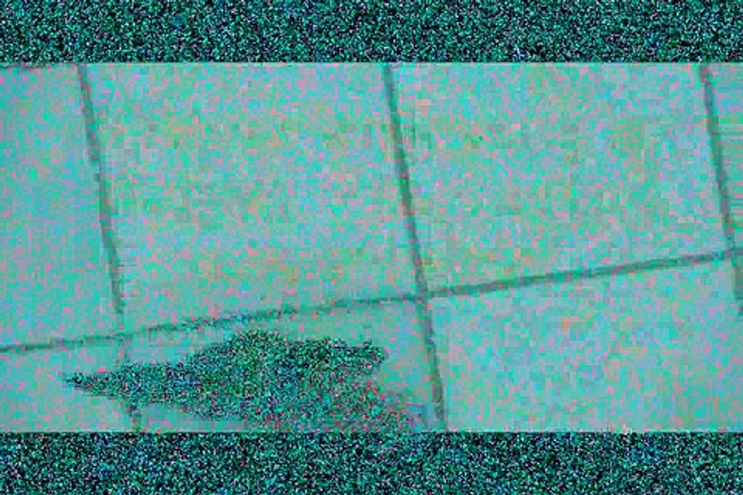 Lorikeet having a Bath