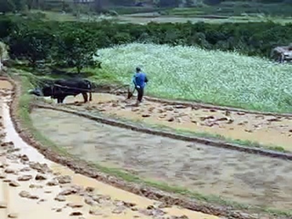 Better than a tractor