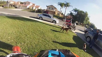 Reche Canyon Dirt Bike Day