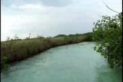 Canal Tour Sian Ka'an Biosphere Preserve