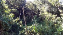 Serra da Mantiqueira, Caminhada rural, Birdwatching, Marcelo Ambrogi, Santo Antonio do Pinhal, 24 de maio de 2015, (24)