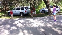 Leash Aggressive GSD Lesson 1 - Take the Lead K9 Training