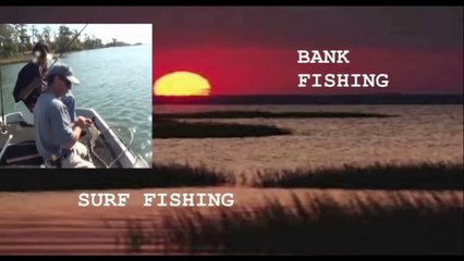 SHEEPSHEAD FISHING NORTH CAROLINA