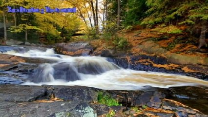 All I Have To Do Is Dream