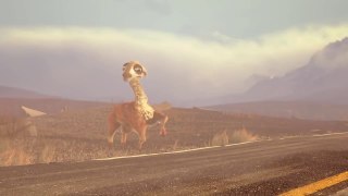 La llama indecisa - Funny Animal Animation