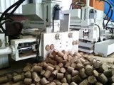 Biomass Briquetting Machine - Alexis Systems