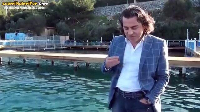 Horon Oynayan Karadenizli Yunus Balığı