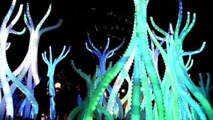 Vivid Sydney Festival 2015