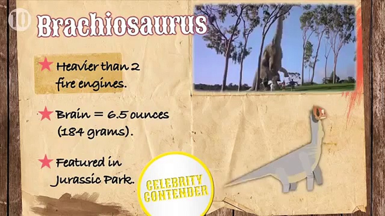 Top 10 Biggest Dinosaurs that Walked the Earth