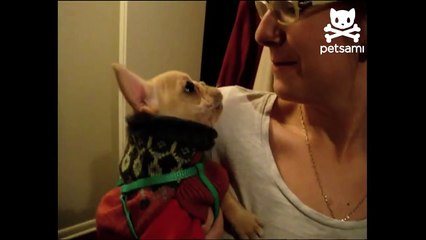 Talking dog says 'I love you'