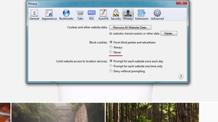 Как включить cookies в Safari