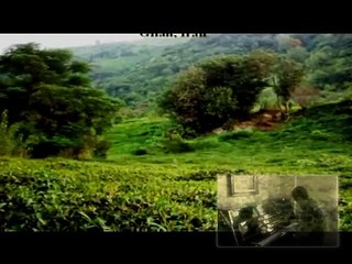 نازنین مریم (جان مریم) Nazanine Maryam