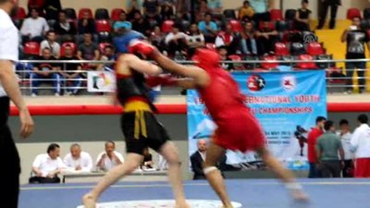 19 Mayıs Uluslararası Gençlik Wushu Kungfu Şampiyonası
