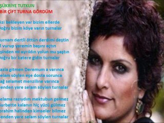 BİR ÇİFT TURNA GÖRDÜM / ŞÜKRİYE TUTKUN