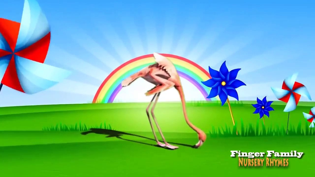 Learn Animals 3D Real Animals Cartoon For Kids