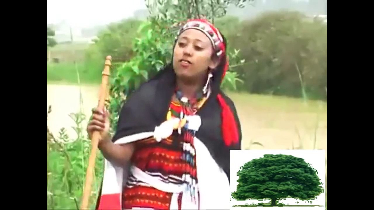 Giiftii Daadhii: Oromoon Seeraa Qaba