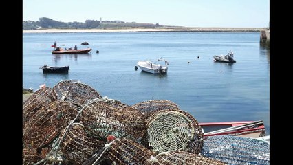 un dimanche à Porto, du pont Arrabida à Castello de Foz