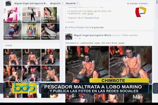 Pescador maltrata lobo marino: publicó fotos en las redes sociales