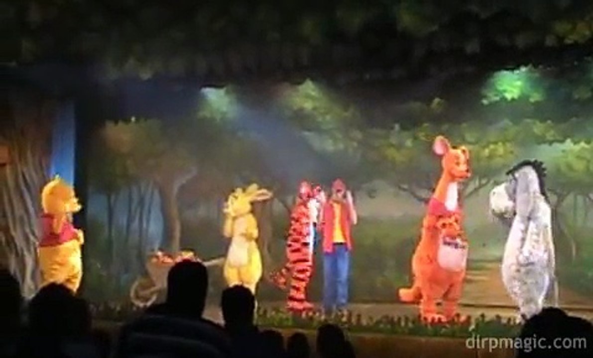 Winnie the Pooh and Friends, Too - Disneyland Paris 3/3