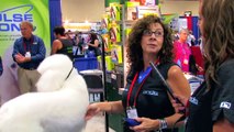 Diane Betelak Demo on Grooming a Poodle's Face