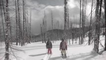 Session de ski freestyle dans une ancienne forêt brûlée