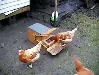 what an awesome idea