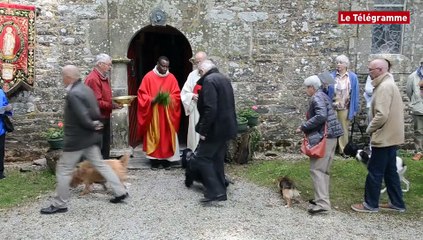 Châteaulin. Pardon de Lospars : les animaux bénis