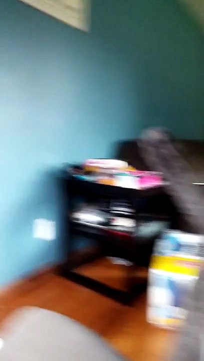 My cat plays fetch better than my dog