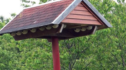 Tour à hirondelles - La Chaise (25mai2015)