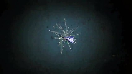 Final, sin favoritos: Vucetich