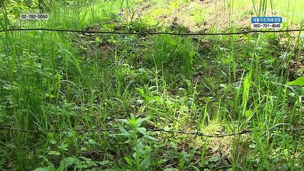 시청자칼럼 우리사는세상.E3958.150525.